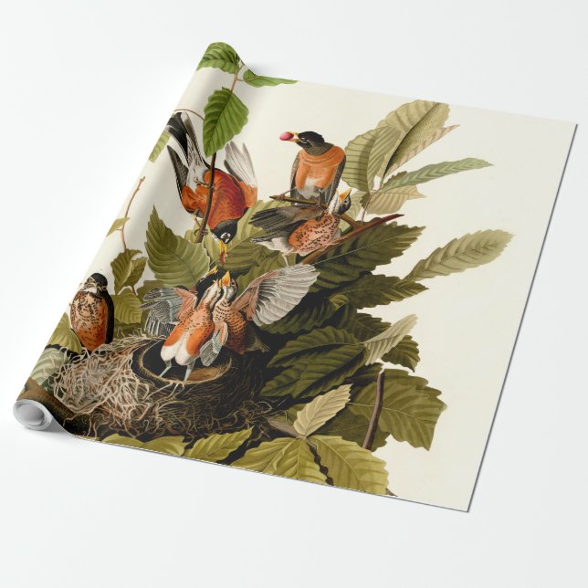 Audubon American Robin Wildlife Bird Illustration Wrapping Paper (Unrolled)