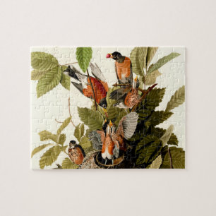 Audubon American Robin Wildlife Bird Jigsaw Puzzle