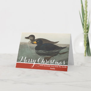 Audubon American Scoter Duck Bird Painting Holiday Card