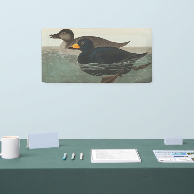 Audubon American Scoter Duck Classic Banner (Tradeshow)