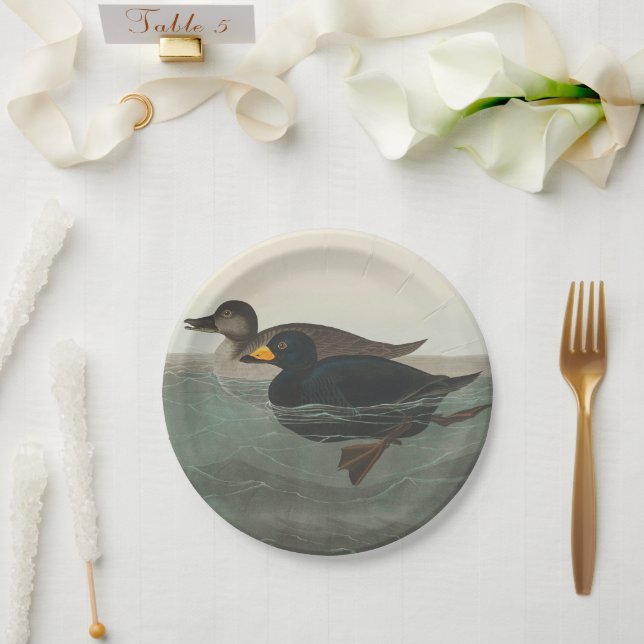 Audubon American Scoter Duck Classic Paper Plate (Wedding)