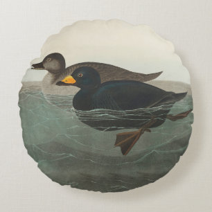 Audubon American Scoter Duck Classic Round Cushion