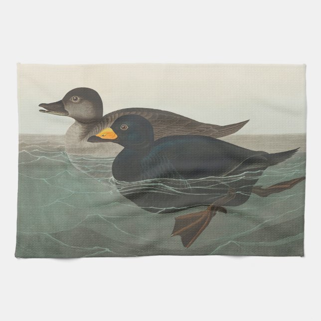 Audubon American Scoter Duck Classic Tea Towel (Horizontal)