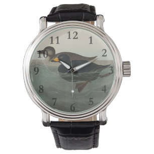 Audubon American Scoter Duck Classic Watch