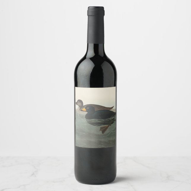 Audubon American Scoter Duck Classic Wine Label (Front)