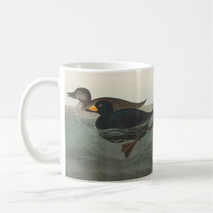 Audubon American Scoter Duck  Coffee Mug