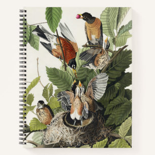 Audubon American Spring Robin Bird Illustration Notebook