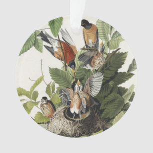 Audubon American Spring Robin Bird Illustration Ornament