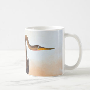Audubon: Anhinga Coffee Mug