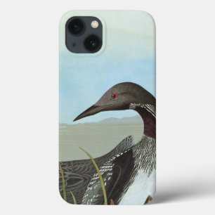 Audubon: Arctic Loon iPhone 13 Case