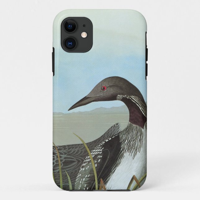 Audubon: Arctic Loon Case-Mate iPhone Case (Back)