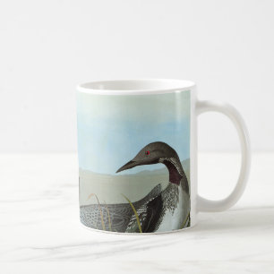 Audubon: Arctic Loon Coffee Mug
