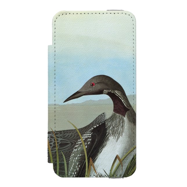 Audubon: Arctic Loon Incipio iPhone Wallet Case (Folio Front)