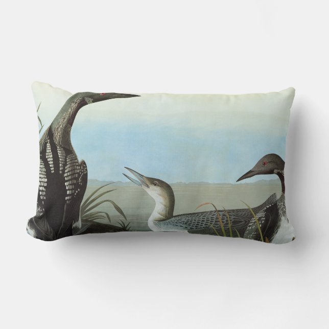 Audubon: Arctic Loon Lumbar Cushion (Front)