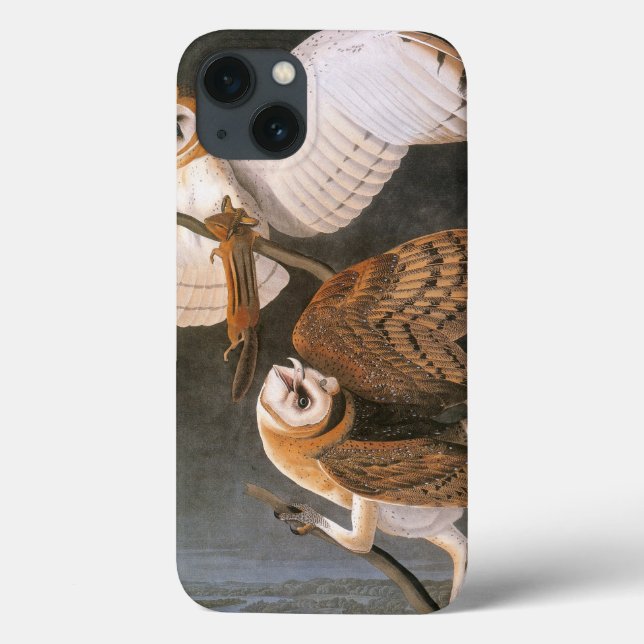 Audubon: Barn Owl Case-Mate iPhone Case (Back)