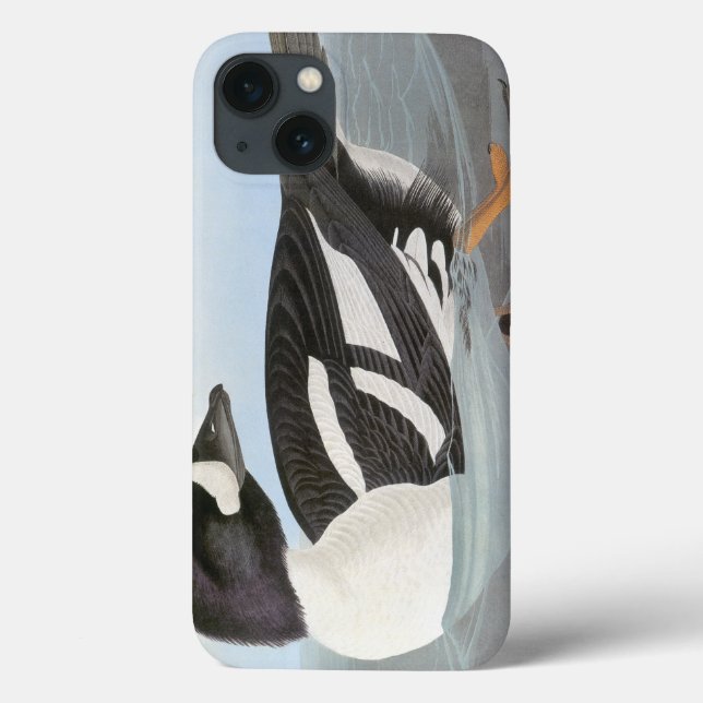 Audubon: Barrow's Goldeneye Case-Mate iPhone Case (Back)