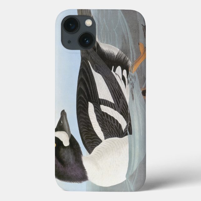 Audubon: Barrow's Goldeneye Case-Mate iPhone Case (Back)