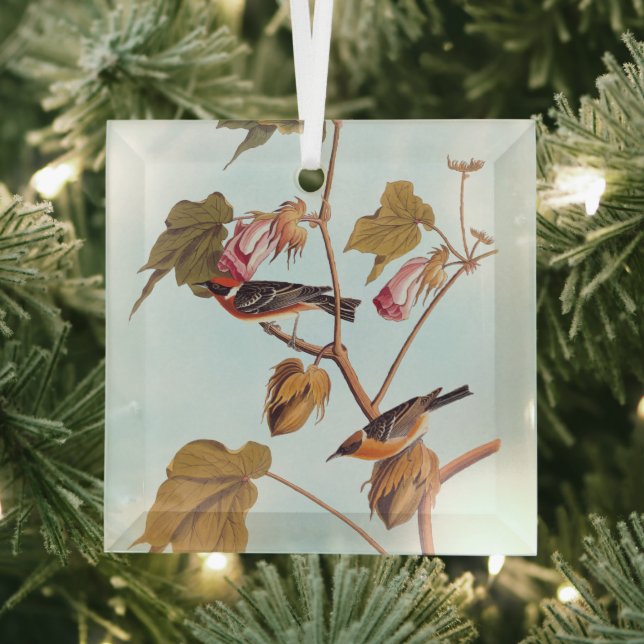 Audubon Bay-Breasted Warbler Bird on Cotton Plant Glass Tree Decoration (Insitu)