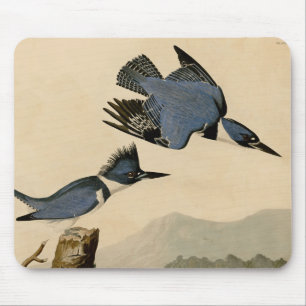 Audubon Belted Kingfisher Wildlife Bird Mouse Mat