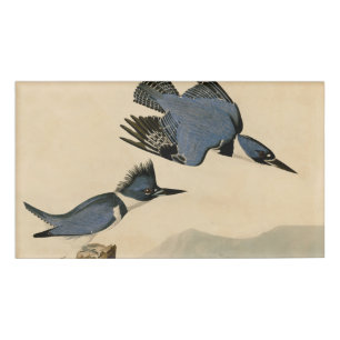 Audubon Belted Kingfisher Wildlife Bird Name Tag