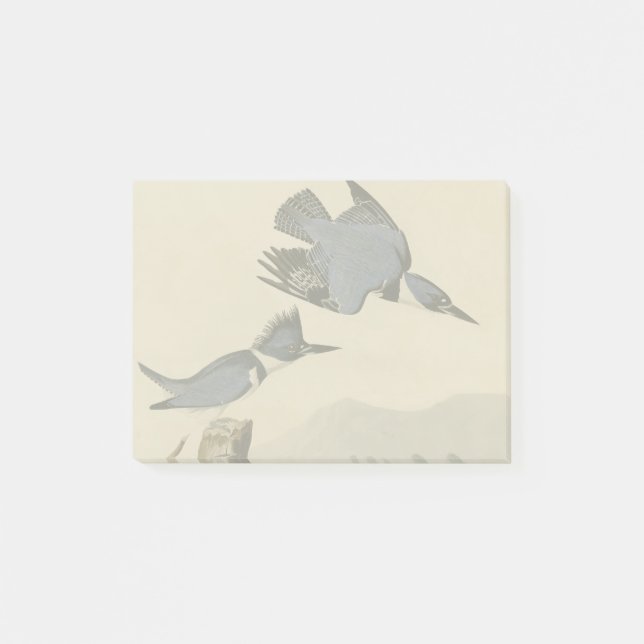 Audubon Belted Kingfisher Wildlife Bird Post-it Notes (Front)