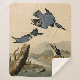 Audubon Belted Kingfisher Wildlife Bird Sherpa Blanket
