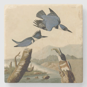 Audubon Belted Kingfisher Wildlife Bird Stone Coaster