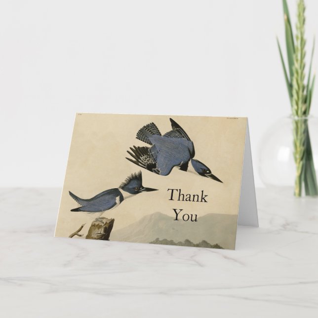 Audubon Belted Kingfisher Wildlife Bird Thank You Card (Front)