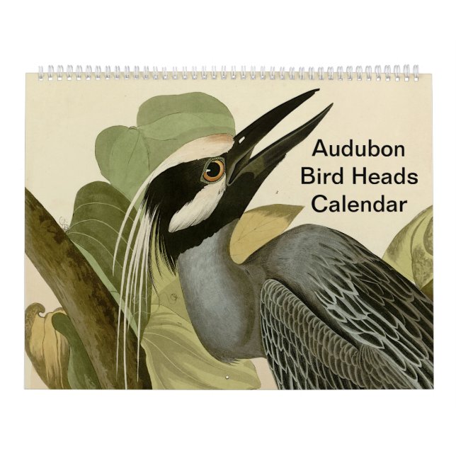 Audubon Bird Heads Calendar (Cover)