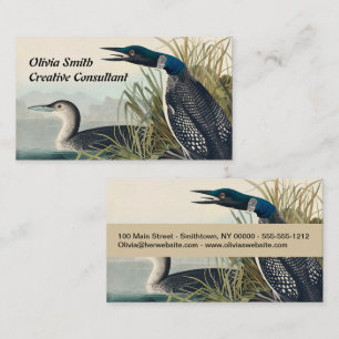 Audubon Bird Loon Diver Classic Business Card