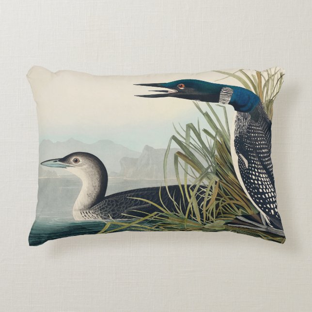 Audubon Bird Loon Diver Classic Decorative Cushion (Front)