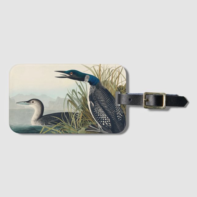 Audubon Bird Loon Diver Classic Luggage Tag (Front Horizontal)