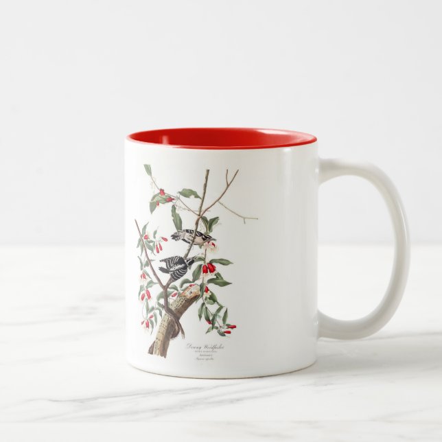 Audubon Bird Mug, Downy Woodpecker, 15 oz. Two-Tone Coffee Mug (Right)