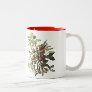 Audubon Bird Mug, Ground Dove, 15 oz. Two-Tone Two-Tone Coffee Mug