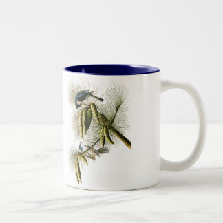 Audubon Bird Mug, Tufted Titmouse, 15 oz. Two-Tone Coffee Mug