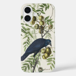 Audubon Black Crow American Bird Illustration iPhone 16 Case
