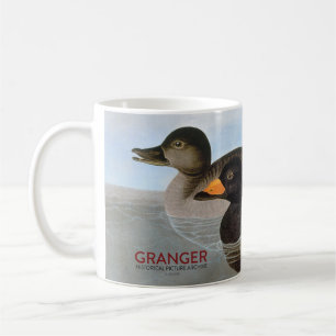 Audubon: Black Scoter Coffee Mug