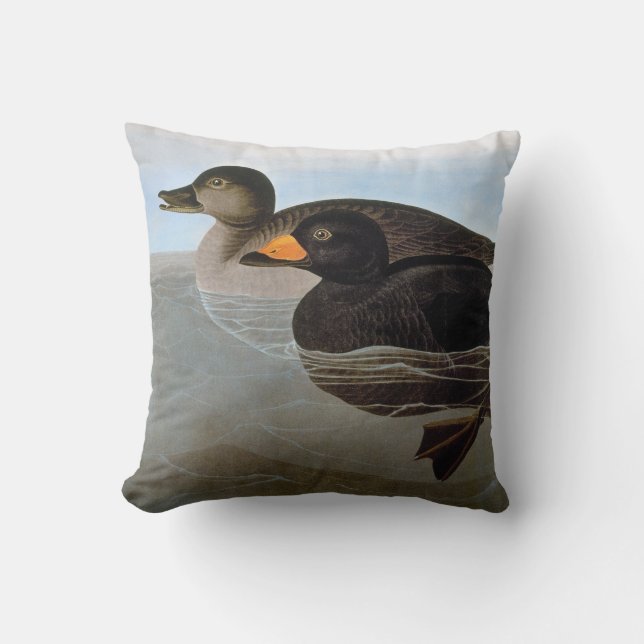Audubon: Black Scoter Cushion (Front)