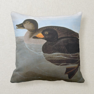 Audubon: Black Scoter Cushion