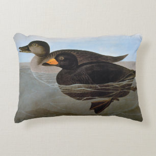 Audubon: Black Scoter Decorative Cushion