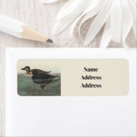 Audubon Black Scoter Print: Vintage Coastal Duck