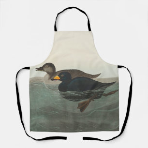 Audubon Black Scoter Print: Vintage Coastal Duck Apron