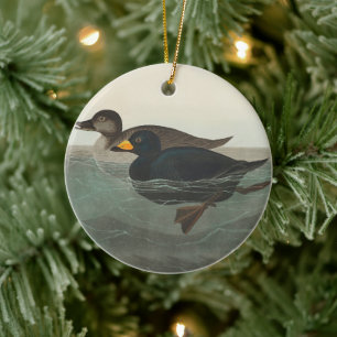 Audubon Black Scoter Print: Vintage Coastal Duck Ceramic Tree Decoration
