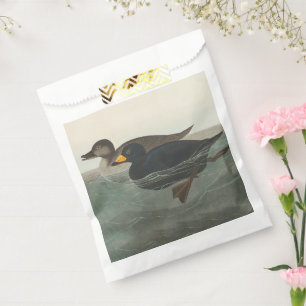 Audubon Black Scoter Print: Vintage Coastal Duck Favour Bags