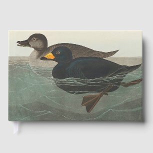 Audubon Black Scoter Print: Vintage Coastal Duck Guest Book