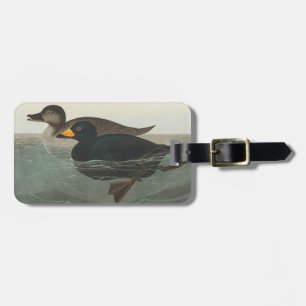 Audubon Black Scoter Print: Vintage Coastal Duck Luggage Tag
