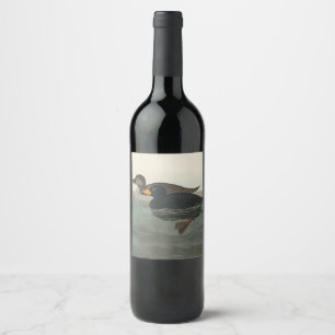 Audubon Black Scoter Print: Vintage Coastal Duck Wine Label