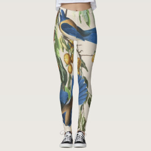 Audubon Blue Jay Birds All Over Print Leggings