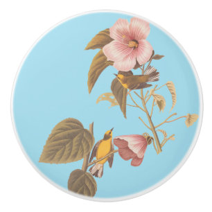 Audubon Blue Winged Yellow Warbler Bird Ceramic Knob