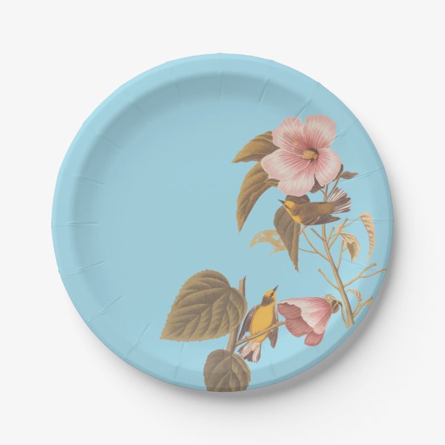 Audubon Blue Winged Yellow Warbler Bird Paper Plate (Front)